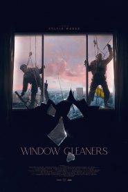 Window Cleaners