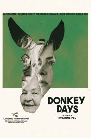Donkey Days