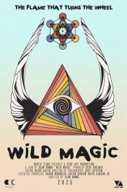Wild Magic