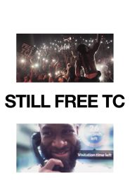 Still Free TC