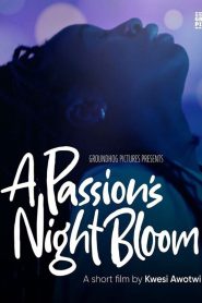 A Passion’s Night Bloom